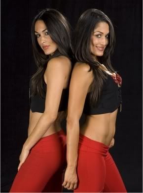 Brie And Nikki