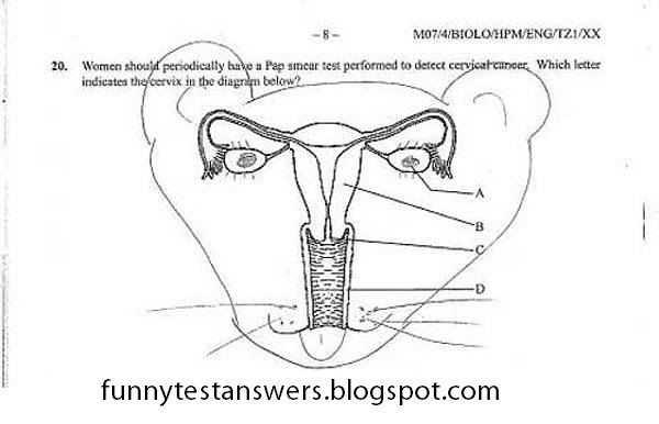 funny test answers. This is a funny test answer.