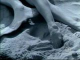 Madonna - Cherish
