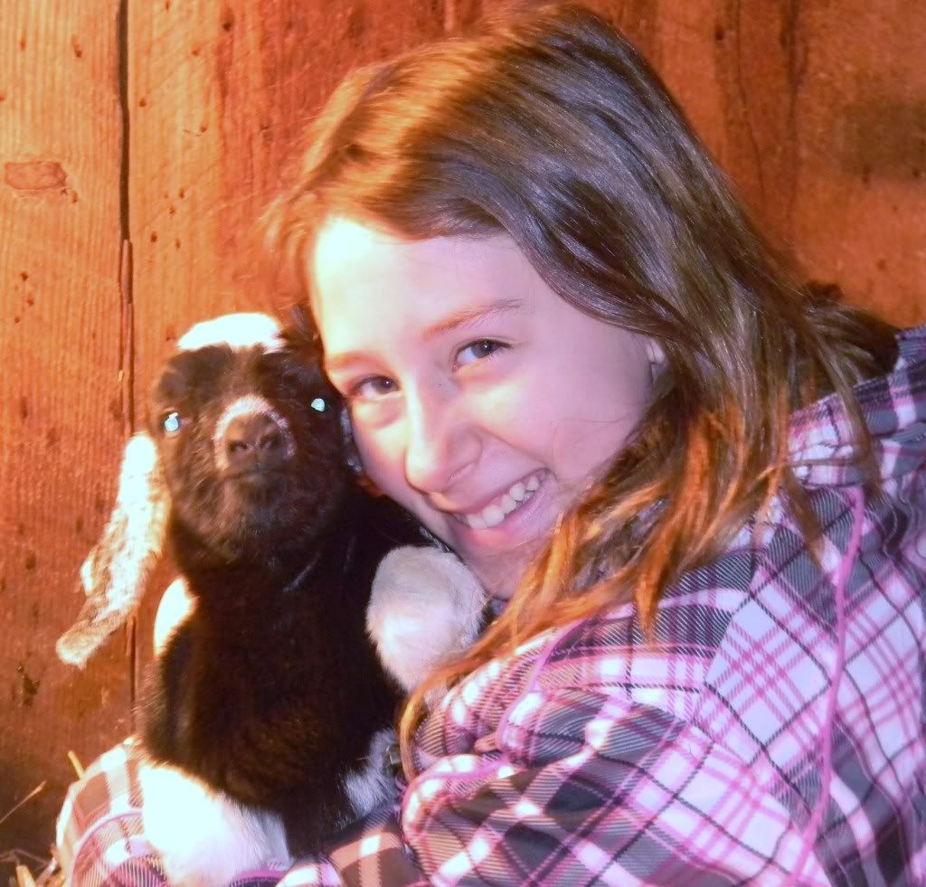 Sandi's Birth Announcements - Goats