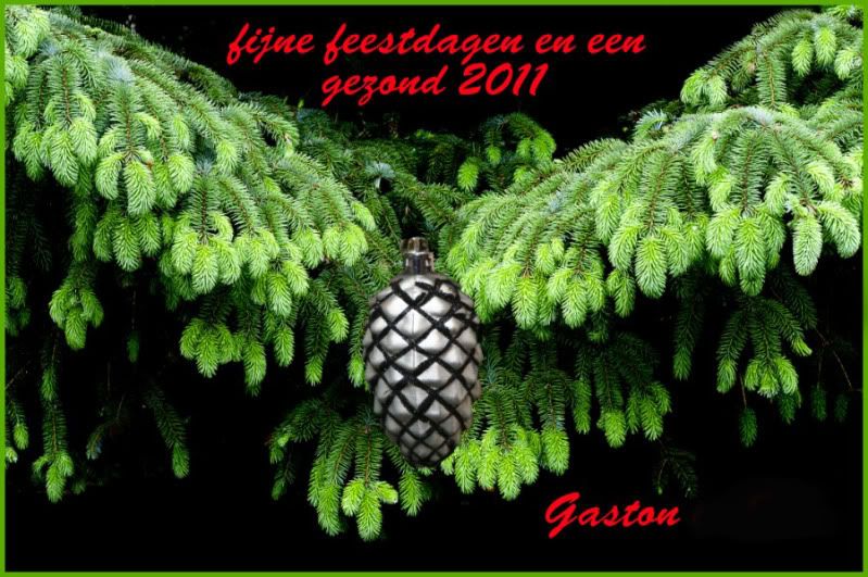 Fotografie