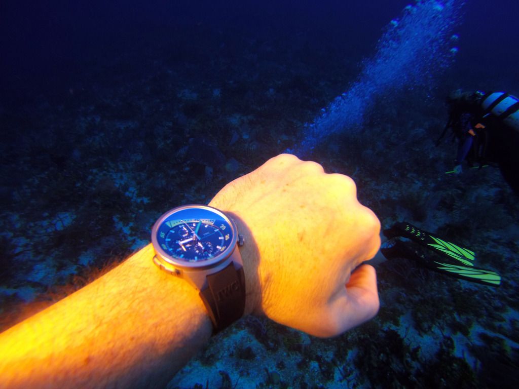i711.photobucket.com/albums/ww115/benjohnsonphotos/Cozumel02182016.jpg
