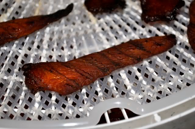 ChickenJerky6.jpg