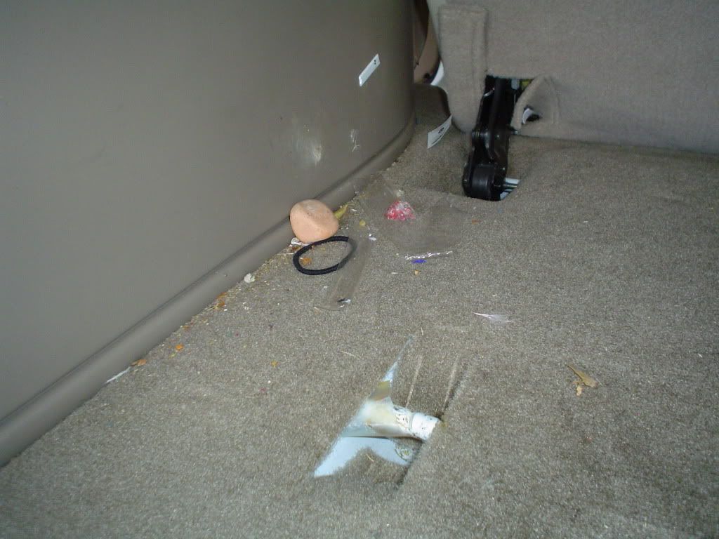 DSC00915.jpg