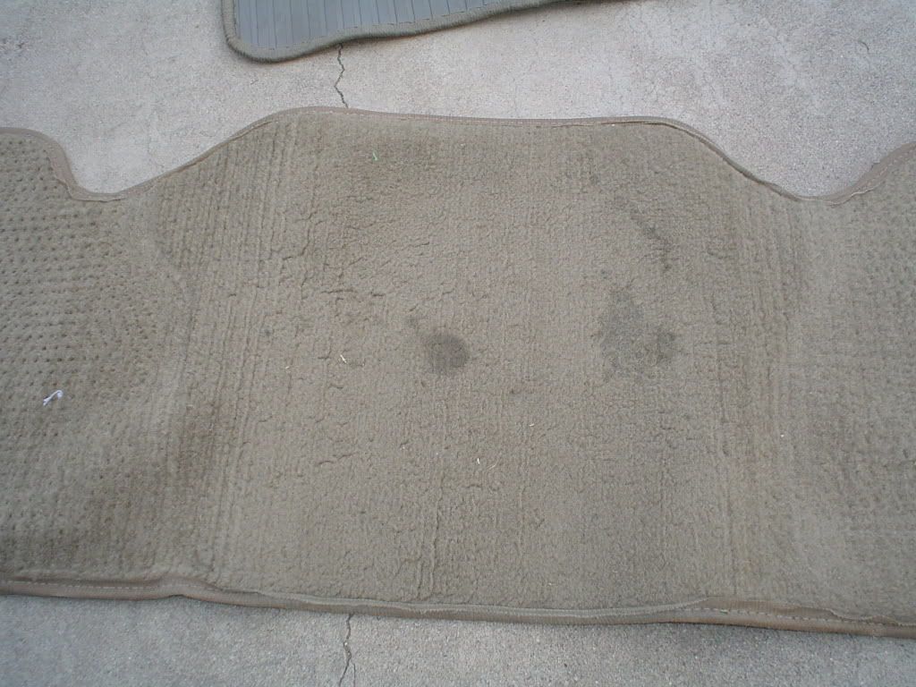 DSC00916.jpg
