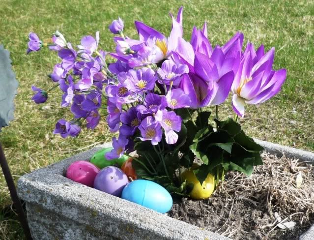 easter eggs Pictures, Images and Photos