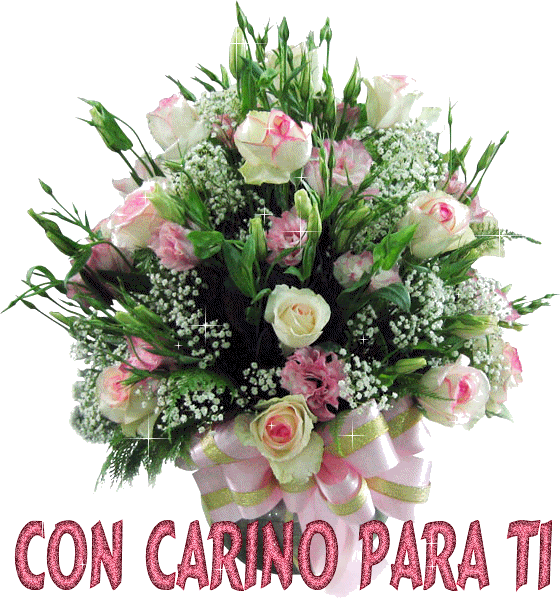  CONCARIOPARATI-1.gif