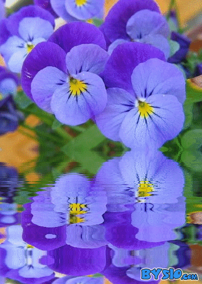 f584487325.gif picture by soleca