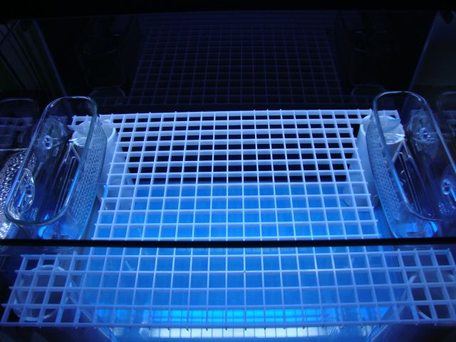 Posted Image