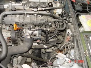 DSC04664.jpg