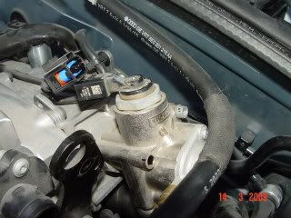 DSC04668-1.jpg