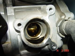 DSC04697-1.jpg