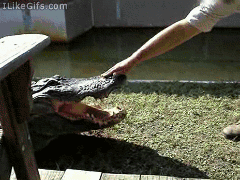photo A300DFEB-2860-443C-ADDE-F94F4B8DADF2_zpsvwatjfan.gif